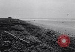 Standbild diverse Vögel Clipperton Insel, 1943, aus Sekunde 44 historischem Filmmaterial Videoclip 65675033678