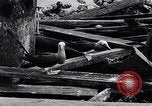 Standbild diverse Vögel Clipperton Insel, 1943, aus Sekunde 61 historischem Filmmaterial Videoclip 65675033678