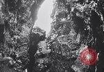 Standbild Vögel und Gestein Clipperton Insel, 1943, aus Sekunde 3 historischem Filmmaterial Videoclip 65675033679