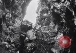 Standbild Vögel und Gestein Clipperton Insel, 1943, aus Sekunde 5 historischem Filmmaterial Videoclip 65675033679