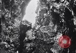 Standbild Vögel und Gestein Clipperton Insel, 1943, aus Sekunde 6 historischem Filmmaterial Videoclip 65675033679