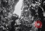 Standbild Vögel und Gestein Clipperton Insel, 1943, aus Sekunde 7 historischem Filmmaterial Videoclip 65675033679