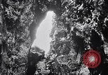 Standbild Vögel und Gestein Clipperton Insel, 1943, aus Sekunde 9 historischem Filmmaterial Videoclip 65675033679