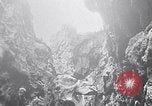 Standbild Vögel und Gestein Clipperton Insel, 1943, aus Sekunde 17 historischem Filmmaterial Videoclip 65675033679