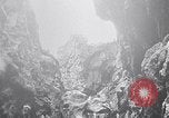 Standbild Vögel und Gestein Clipperton Insel, 1943, aus Sekunde 18 historischem Filmmaterial Videoclip 65675033679