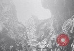Standbild Vögel und Gestein Clipperton Insel, 1943, aus Sekunde 20 historischem Filmmaterial Videoclip 65675033679