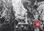 Standbild Vögel und Gestein Clipperton Insel, 1943, aus Sekunde 26 historischem Filmmaterial Videoclip 65675033679