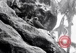 Standbild Vögel und Gestein Clipperton Insel, 1943, aus Sekunde 43 historischem Filmmaterial Videoclip 65675033679