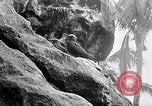 Standbild Vögel und Gestein Clipperton Insel, 1943, aus Sekunde 48 historischem Filmmaterial Videoclip 65675033679
