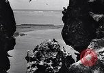 Standbild Gestein und Vögel Clipperton Insel, 1943, aus Sekunde 16 historischem Filmmaterial Videoclip 65675033680