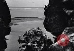 Standbild Gestein und Vögel Clipperton Insel, 1943, aus Sekunde 17 historischem Filmmaterial Videoclip 65675033680