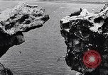 Standbild Gestein und Vögel Clipperton Insel, 1943, aus Sekunde 34 historischem Filmmaterial Videoclip 65675033680