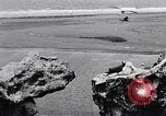 Standbild Gestein und Vögel Clipperton Insel, 1943, aus Sekunde 37 historischem Filmmaterial Videoclip 65675033680