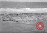Standbild Gestein und Vögel Clipperton Insel, 1943, aus Sekunde 55 historischem Filmmaterial Videoclip 65675033680