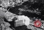 Standbild Vereinigten Staaten Marines Vietnam, 1967, aus Sekunde 10 historischem Filmmaterial Videoclip 65675033688