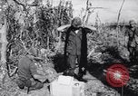 Standbild Vereinigten Staaten Marines Vietnam, 1967, aus Sekunde 12 historischem Filmmaterial Videoclip 65675033688