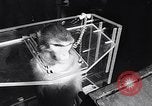 Immagine di esperimento aerospaziale su scimpanzé e scimmie New York City USA, 1967, secondo 7 filmato di repertorio 65675033689