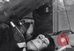 Immagine di esperimento aerospaziale su scimpanzé e scimmie New York City USA, 1967, secondo 50 filmato di repertorio 65675033689