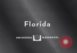 Immagine di Aardvark Florida United States USA, 1967, secondo 3 filmato di repertorio 65675033690