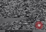 Standbild American League Championship Boston Massachusetts USA, 1967, aus Sekunde 19 historischem Filmmaterial Videoclip 65675033692
