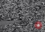 Standbild American League Championship Boston Massachusetts USA, 1967, aus Sekunde 20 historischem Filmmaterial Videoclip 65675033692