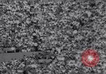 Standbild American League Championship Boston Massachusetts USA, 1967, aus Sekunde 21 historischem Filmmaterial Videoclip 65675033692