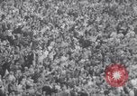 Standbild American League Championship Boston Massachusetts USA, 1967, aus Sekunde 55 historischem Filmmaterial Videoclip 65675033692