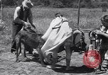 Standbild doggy Wagenrennen Baker Oregon USA, 1938, aus Sekunde 7 historischem Filmmaterial Videoclip 65675033695