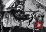 Standbild doggy Wagenrennen Baker Oregon USA, 1938, aus Sekunde 11 historischem Filmmaterial Videoclip 65675033695