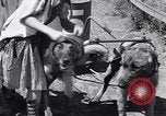 Standbild doggy Wagenrennen Baker Oregon USA, 1938, aus Sekunde 12 historischem Filmmaterial Videoclip 65675033695