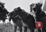 Standbild doggy Wagenrennen Baker Oregon USA, 1938, aus Sekunde 14 historischem Filmmaterial Videoclip 65675033695