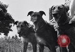 Standbild doggy Wagenrennen Baker Oregon USA, 1938, aus Sekunde 15 historischem Filmmaterial Videoclip 65675033695
