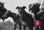 Standbild doggy Wagenrennen Baker Oregon USA, 1938, aus Sekunde 16 historischem Filmmaterial Videoclip 65675033695
