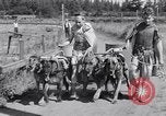 Standbild doggy Wagenrennen Baker Oregon USA, 1938, aus Sekunde 18 historischem Filmmaterial Videoclip 65675033695