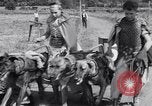 Standbild doggy Wagenrennen Baker Oregon USA, 1938, aus Sekunde 19 historischem Filmmaterial Videoclip 65675033695
