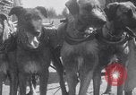 Standbild doggy Wagenrennen Baker Oregon USA, 1938, aus Sekunde 21 historischem Filmmaterial Videoclip 65675033695