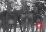 Standbild doggy Wagenrennen Baker Oregon USA, 1938, aus Sekunde 22 historischem Filmmaterial Videoclip 65675033695