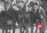 Standbild doggy Wagenrennen Baker Oregon USA, 1938, aus Sekunde 23 historischem Filmmaterial Videoclip 65675033695
