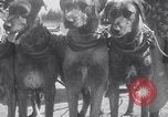 Standbild doggy Wagenrennen Baker Oregon USA, 1938, aus Sekunde 24 historischem Filmmaterial Videoclip 65675033695