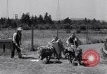 Standbild doggy Wagenrennen Baker Oregon USA, 1938, aus Sekunde 26 historischem Filmmaterial Videoclip 65675033695