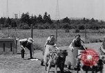 Standbild doggy Wagenrennen Baker Oregon USA, 1938, aus Sekunde 27 historischem Filmmaterial Videoclip 65675033695