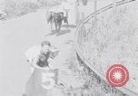 Standbild doggy Wagenrennen Baker Oregon USA, 1938, aus Sekunde 34 historischem Filmmaterial Videoclip 65675033695