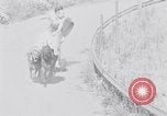 Standbild doggy Wagenrennen Baker Oregon USA, 1938, aus Sekunde 35 historischem Filmmaterial Videoclip 65675033695