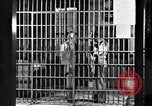 Immagine di Clyde Barrow Dallas Texas USA, 1934, secondo 33 filmato di repertorio 65675033721