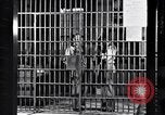 Immagine di Clyde Barrow Dallas Texas USA, 1934, secondo 34 filmato di repertorio 65675033721