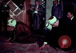 Image of King Faisal of Saudi Arabia Washington DC USA, 1966, second 59 stock footage video 65675033745