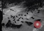 Image of unseasonal blizzard New York City USA, 1938, second 44 stock footage video 65675033797
