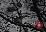 Image of unseasonal blizzard New York City USA, 1938, second 47 stock footage video 65675033797