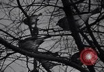 Image of unseasonal blizzard New York City USA, 1938, second 50 stock footage video 65675033797