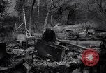 Image of mountain fire Santa Monica California USA, 1938, second 38 stock footage video 65675033798